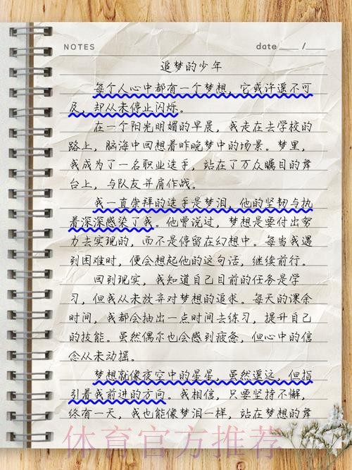 回望|中国之队的2017 梦里依稀有泪光 梦想不止在路上 回望|中国之队的2017 梦里依稀有泪光 梦想不止在路上