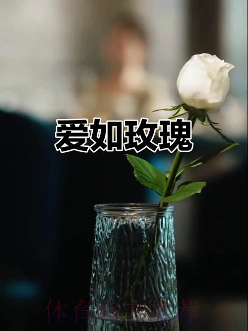 请听，玫瑰在绽放；请待，玫瑰再绽放！